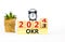 OKR, objectives and key results symbol. Businessman turns cubes with words OKR 2023 and OKR 2024 on beautiful white background.