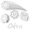 Okra plant vector illustration