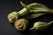 Okra seeds on a black background.