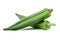 Okra vegetables with medicinal properties