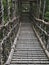 Oku-Iya double vine bridge or Oku-Iya Nijuu Kazura bridge. A suspension bridge made of the plant called Shirakuchikazura.