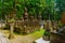 Okunoin Cemetery, Mount Koya Koyasan