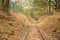 Old abandened Train Tracks in Forest stock photograph image