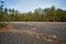 Old abandoned asphalt playground in the spring forest