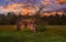 Old abandoned broken barn at the edge of the forest with tall green grass and wild flowers at sunset. Styled stock photo in