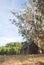 Old Abandoned Cabin in Country