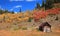 Old abandoned cabin with fall foliage in rural Colorado