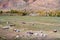 Old abandoned camp site in the valley of the Kyzylshin river