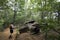 Old abandoned car at homestead site at Providence Canyon