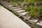 An old abandoned cement staircase overgrown with grass