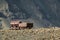 Old abandoned coal wagons, used for the coal mining industry, mountain background Longyear valley, Svalbard Norway