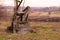 Old, abandoned and destroyed well. Abandoned source in the village.