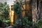 Old abandoned doors of empty house among green plants