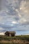 Old abandoned farm house on Colorado prairie