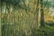 Old abandoned fence of branches