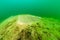 Old abandoned fish spawning bed in a Michigan lake