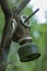 Old abandoned gas mask hanging on a branch