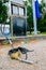 Old abandoned gasoline station along a countryside highway in Ontario, Canada.