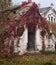 An old abandoned greenhouse in an autumn park, Konig Palace, Ukraine