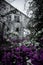 Old abandoned haunted house overgrown with weeds against a dark,