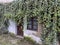 Old, abandoned house covered in overgrown ivy. Nature reclaiming building.