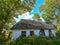 Old abandoned hut in the woods. Tall green trees, old roof, wooden doors and windows