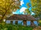 Old abandoned hut in the woods. Tall green trees, old roof, wooden doors and windows