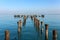 Old abandoned jetty pier on Qeshm island