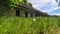 Old abandoned long house in poor condition. Bars and cracked panes in the windows. Around the tree and dandelions in the grass.