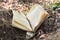 An old abandoned lost book in the forest dirty crumpled pages