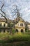 Old abandoned medieval castle with scary tree in the front