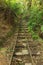 Old abandoned mining tramway in the New Zealand forest