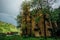 Old abandoned overgrown mansion in Gothic style in Caucasian mountains