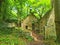 An old, abandoned, overgrown watermill in Derbyshire