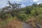 Old abandoned paved walking path in park