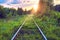 Old abandoned railroad overgrown with grass. Railway track through the forest. Picturesque industrial landscape at sunset.