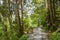 The old abandoned railway in Taiwan