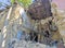 Old abandoned roof collapsed farm house building in italy