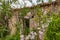 Old, abandoned ruin behind a white flowering oleander bush