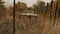 The old abandoned russian car in withered yellow grass background. Shot. Antique vehicle left in long withered grass.