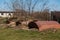 Old abandoned rusty barrels lie half buried in the ground