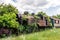 An old abandoned and rusty steam locomotive overgrown with branches and green bushes standing on an unused railway