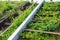 Old abandoned rusty steel stairs overgrown with grass