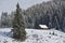 An old abandoned sheepfold covered in snow in the beginning of winter.