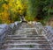 Old abandoned stairs going up to forest, Ulia mount
