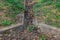 Old abandoned stock for rainwater littered with leaves.