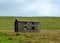 An old abandoned stone farmhouse in green pasture on high pennine moorland with bright blue sky