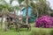 An old abandoned wagon with wooden houses and flowers in the background