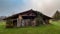 Old abandoned wooden barn in a meadow in Bresse, France