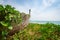 Old abandoned wooden boat wreck